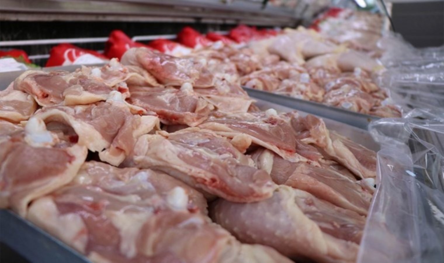 Ticaret Bakanlığı harekete geçti: Tavuk ihracatına yasak geliyor