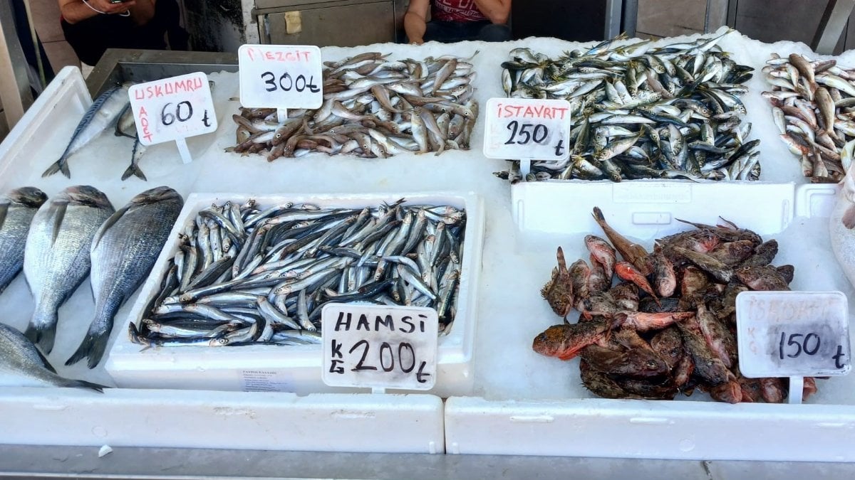 Bayram bitti, balıkçılar satışların artmasını bekliyor