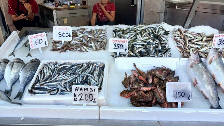 Bayram sonrası balık satışlarında artış beklentisi
