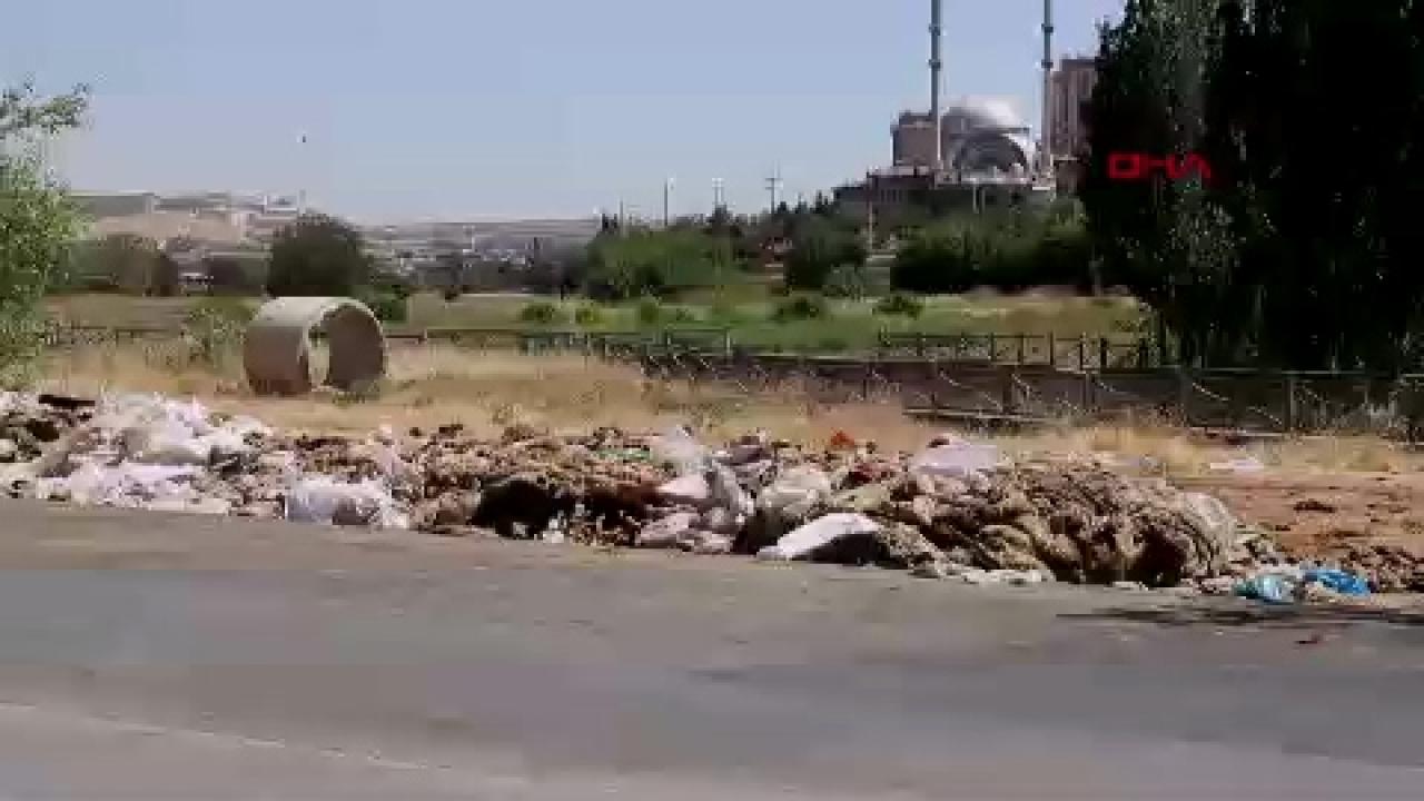 Gaziantep’te, yol kenarlarına atılan yüzlerce kurban derisi ve atık tepki topladı