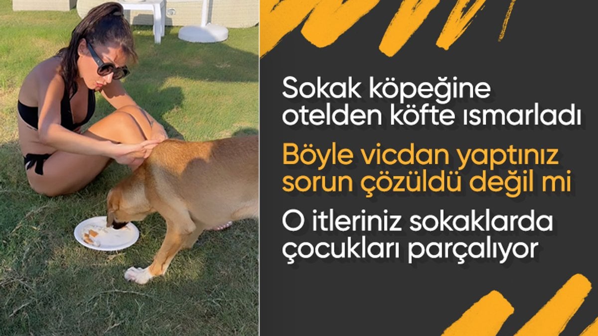 Hande Yener yanına gelen köpeğe önce köfte ısmarladı ardından denize soktu