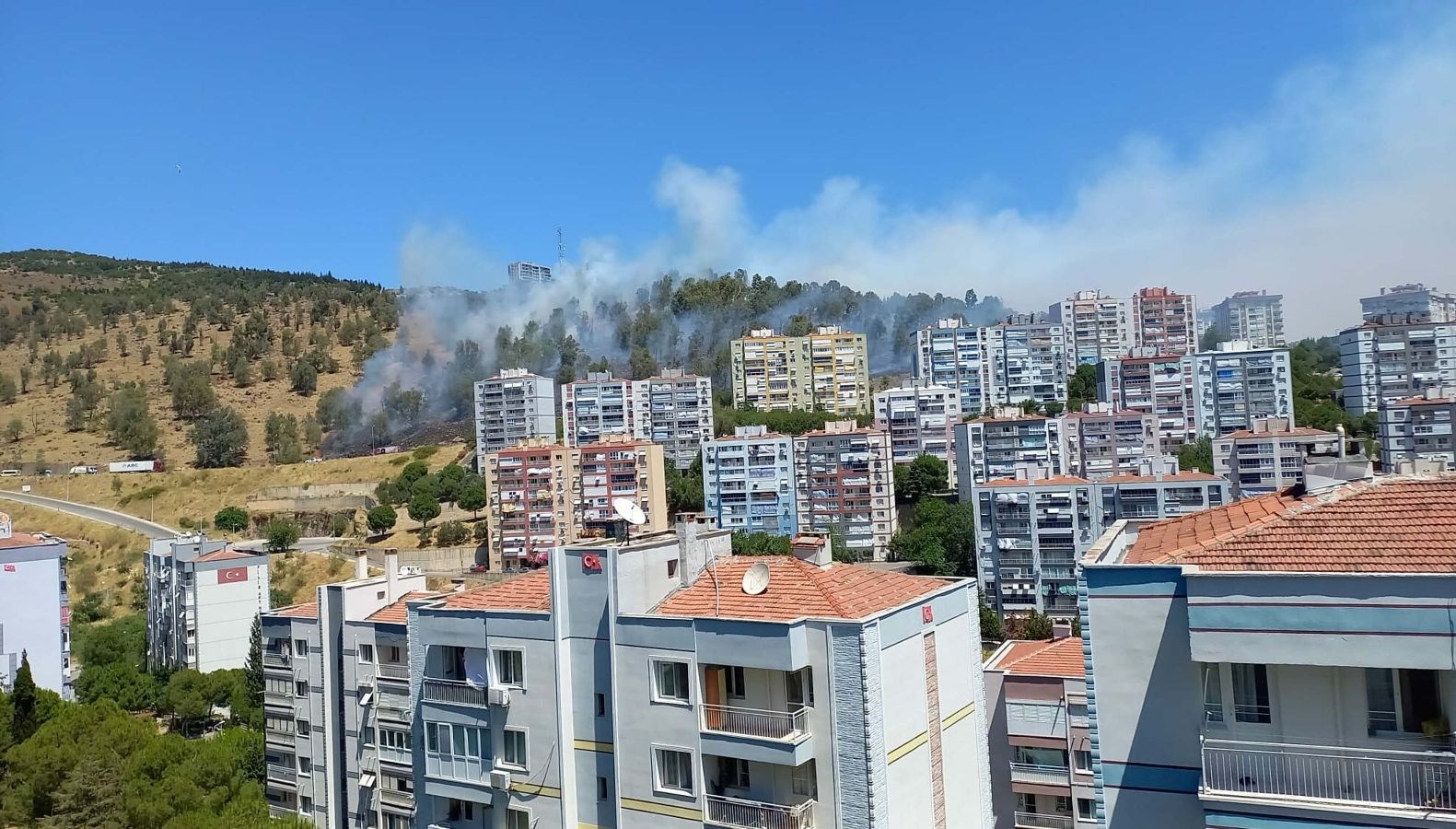 İzmir ve Balıkesir’de dört noktada yangın: Dördü de kontrol altına alındı