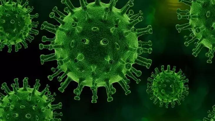 ‘Parvovirüs B19’ tehlikesi! Dikkat: Uyarı geldi