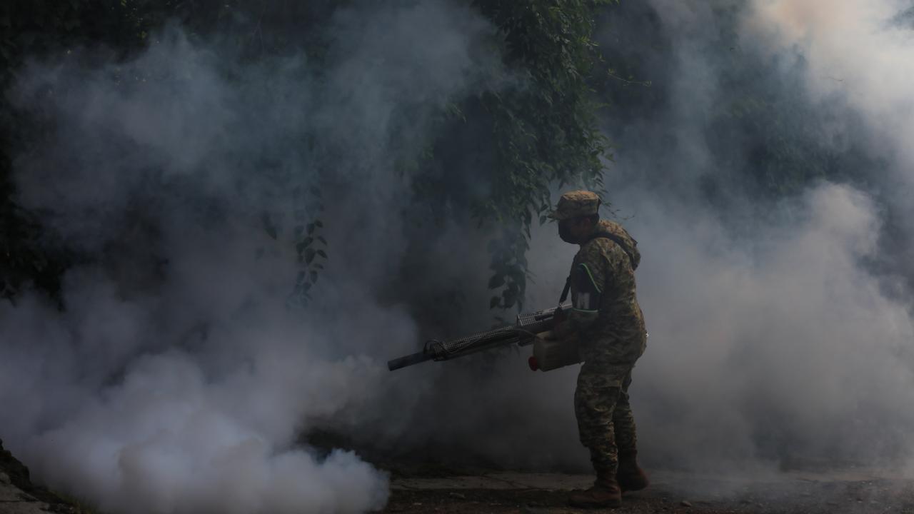 Dang humması hakkında salgın uyarısı yapıldı! El Salvador kırmızı alarmda